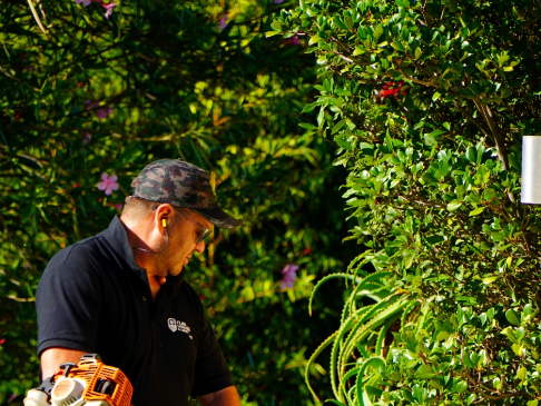 Flawless Gardens & Landscaping team at work